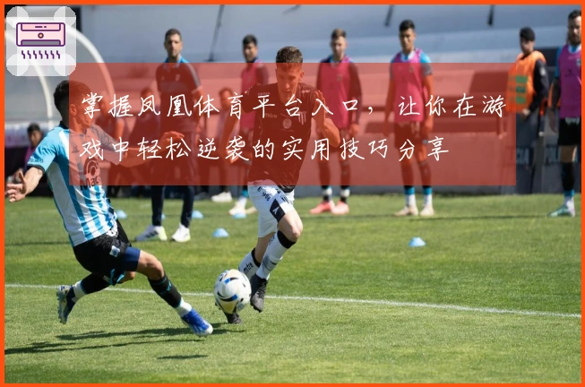 掌握凤凰体育平台入口，让你在游戏中轻松逆袭的实用技巧分享